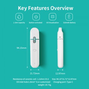 BD40 |  BOSHANG All-In-One Disposable with Preheating Button