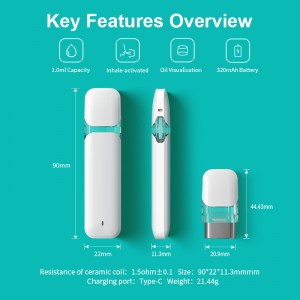 BOSHANG BD61 Pod——Postless Rechargeable All-In-One Disposable Pod