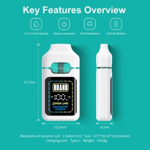 BD88 | BOSHANG Dual Flavors Postless All-In-One Disposable with Smart Screen
