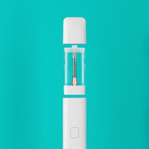 BD39 | BOSHANG Rechargeable All-In-One Disposable with Button