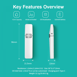 BD60 | BOSHANG Minimalist Rechargeable All-In-One Disposable Device