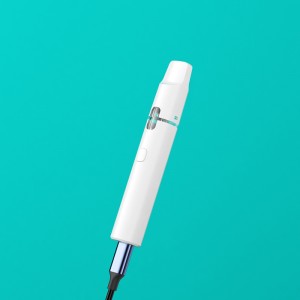 BD31 | BOSHANG Clog-Free Dual Airflow Preheat All-In-One Disposable Device