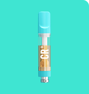 FC22
