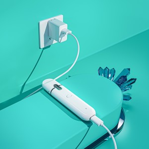 BD40 |  BOSHANG All-In-One Disposable with Preheating Button