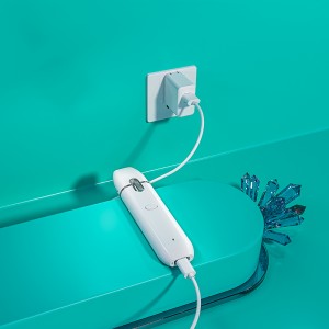 BD30 | BOSHANG Rechargeable All-In-One Disposable with Preheating button