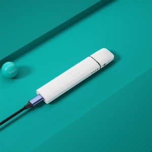 BD39 | BOSHANG Rechargeable All-In-One Disposable with Button