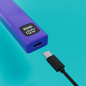 BD29-F | BOSHANG Postless All-In-One Disposable with Smart Screen