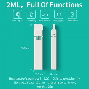 BD29 | BOSHANG Clog-Free Dual Airflow All-in-one Disposable Device