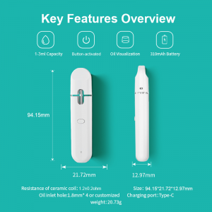 BD40 |  BOSHANG All-In-One Disposable with Preheating Button
