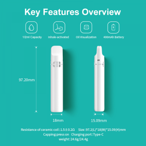 BD56-C | BOSHANG Postless Rechargeable All-In-One Disposable Device
