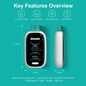 BD69 | BOSHANG Dual flavors Full Screen Display Postless All-In-One Disposable