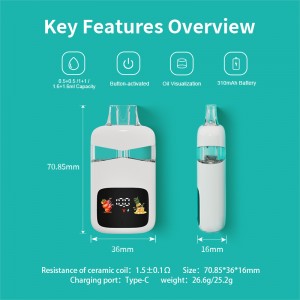 BOSHANG BD75——Postless Dual Flavors All-In-One Disposable with Smart Display