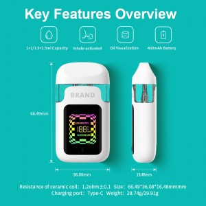 BD91 | BOSHANG Dual Flavors Smart Screen All-In-One Disposable with Center Post