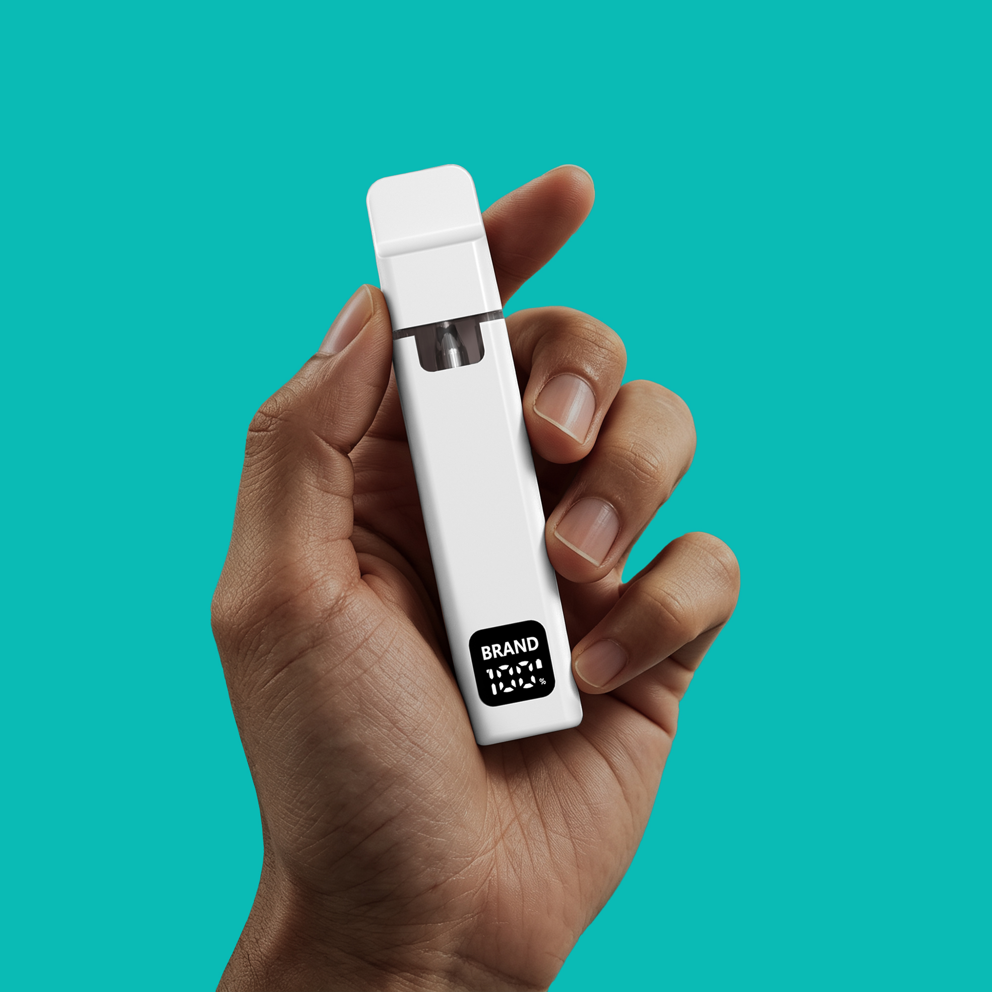 BD29-L Portable Size