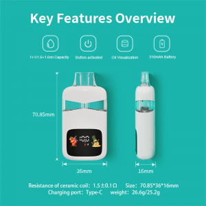 BD75 | BOSHANG Dual Flavors All-In-One Postless Disposable with Smart Display Screen
